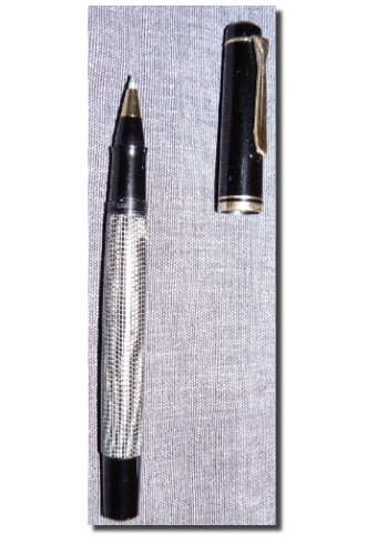Pelikan R200 im Eidechsenmuster