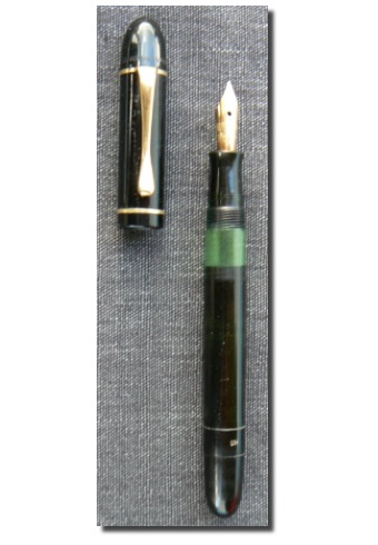 Pelikan Ibis